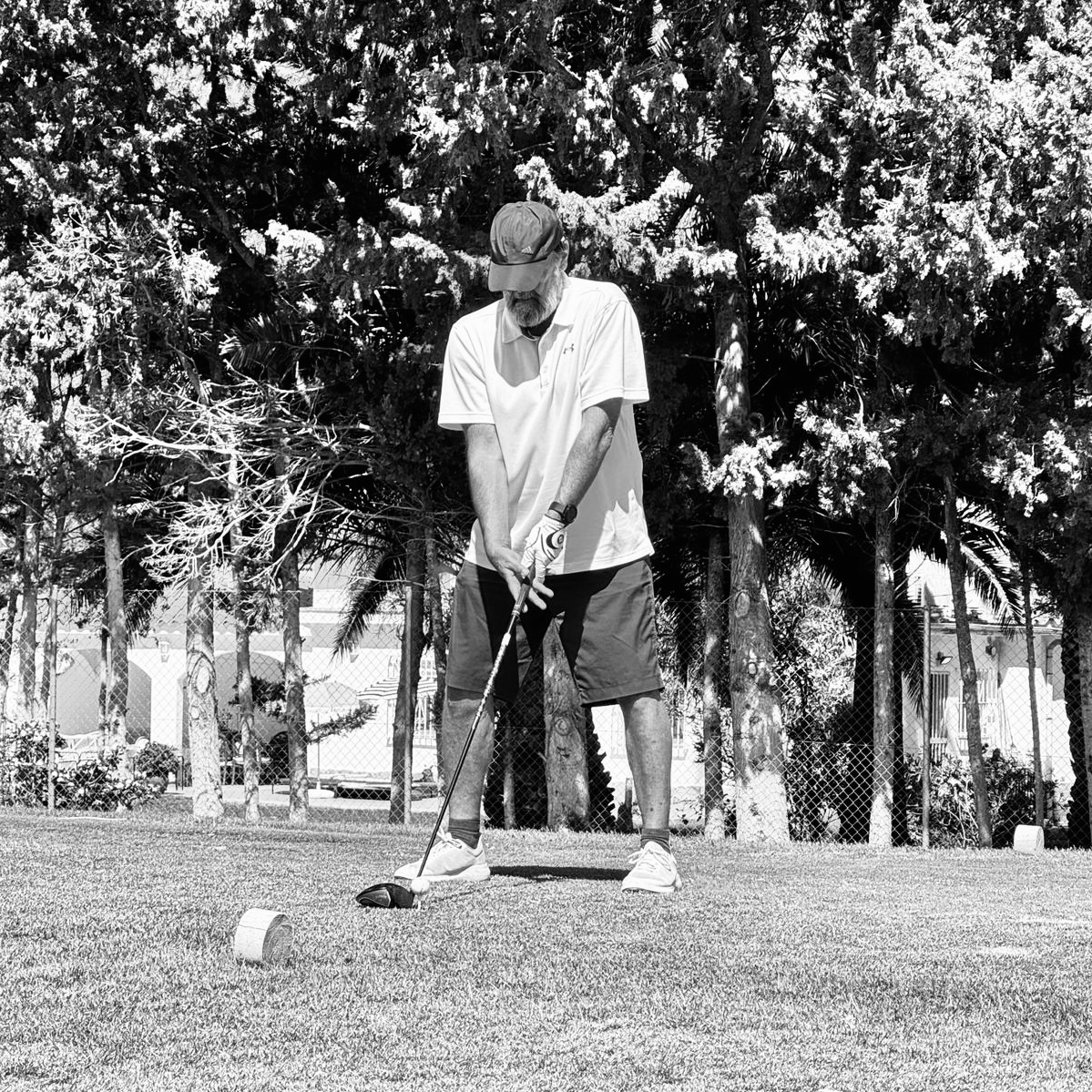 c8679c12 dace 4201 9b0c 286ed2ce3ea8 2